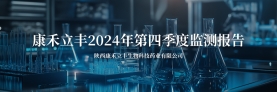 2024年第4季度监测报告